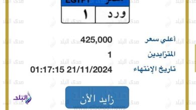 "و ر د - 1" .. لوحة سيارة مميزة بـ 425 ألف جنيه